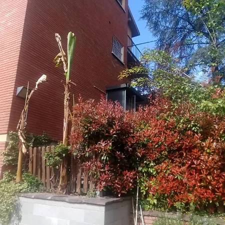 Гостевой дом A Casa Di Gemma *